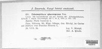 Image Associated With the Occurence